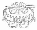 ���� ���������������� ���